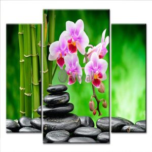 Feng shui 075
