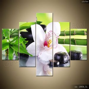 FENG SHUI 024
