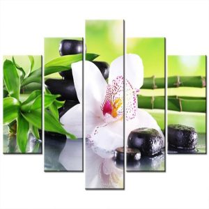 FENG SHUI 035