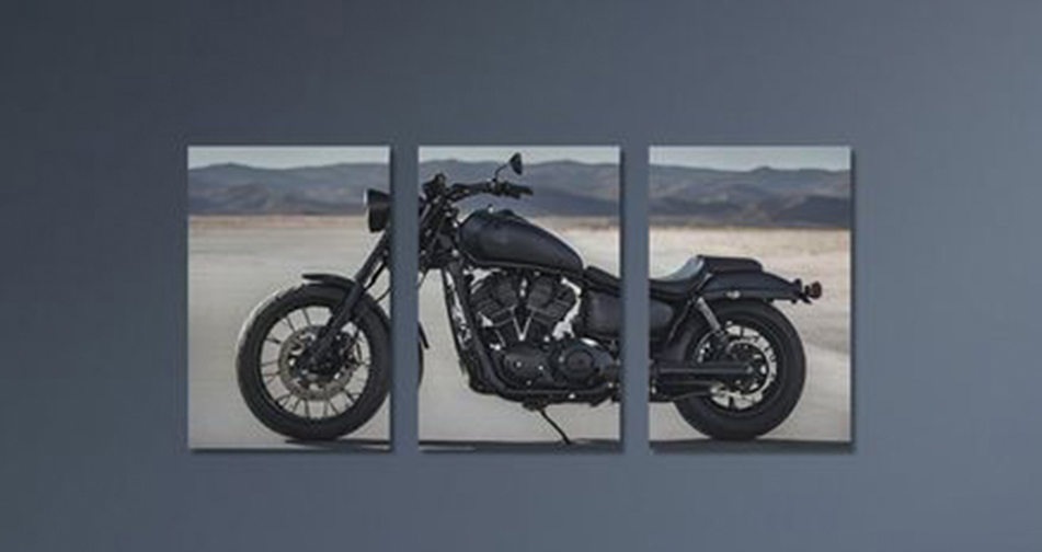 Harley Pustinjska Sloboda - 3 dela - Слика 2